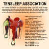 tensleep_association.jpg (225165 bytes)